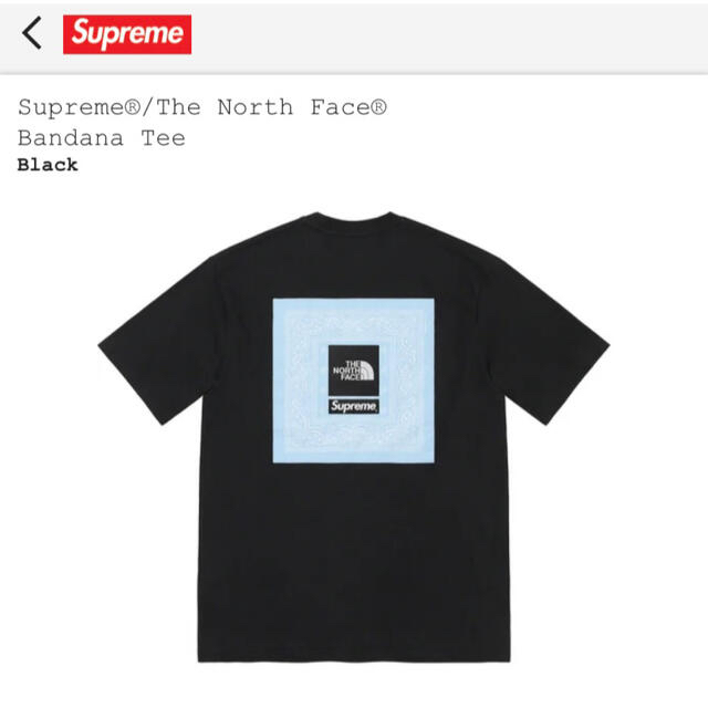 Supreme®/The North Face® Bandana Tee 黒L - Tシャツ/カットソー(半袖 ...