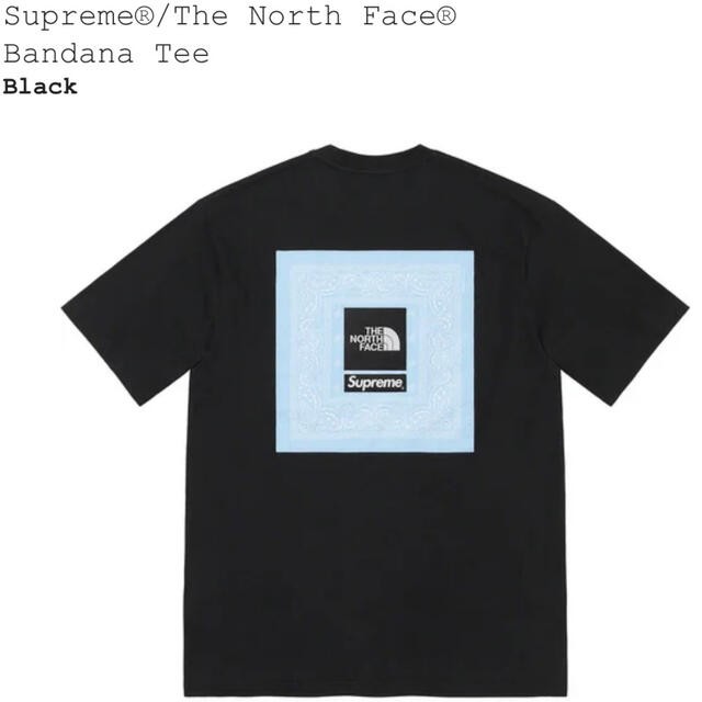 Supreme The North Face  Bandana Tee