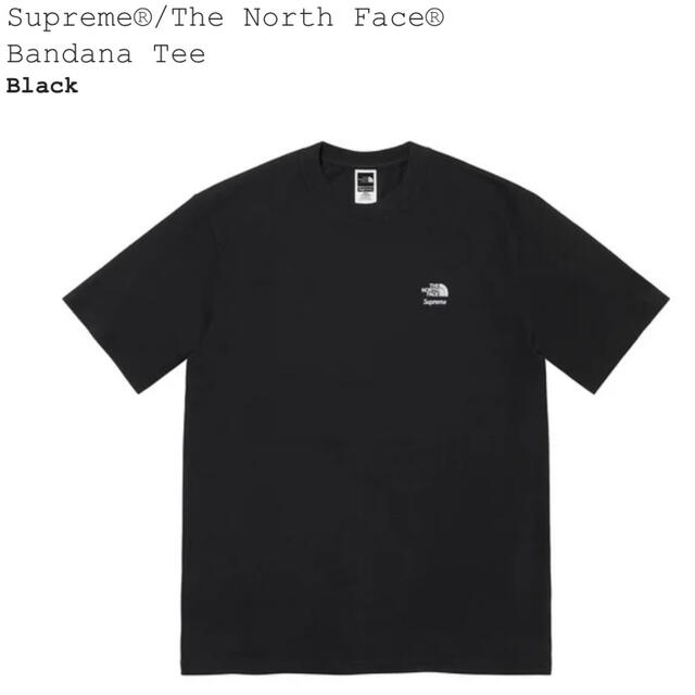 Supreme The North Face  Bandana Tee 1