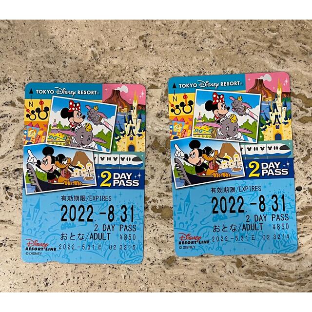 ディズニーリゾートライン2DAYPASS