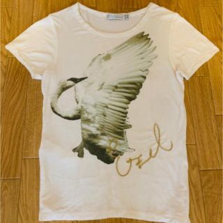 ザラ(ZARA)のZARA 白鳥　白Tシャツ(Tシャツ/カットソー(半袖/袖なし))