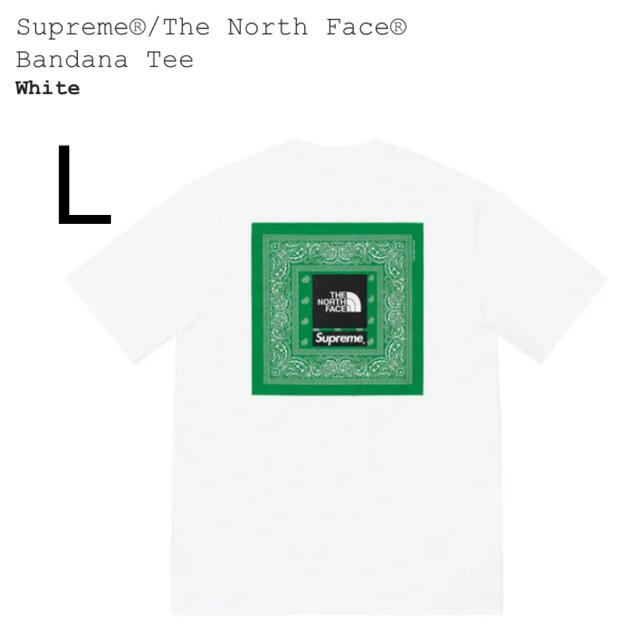 Supreme(シュプリーム)のSupreme / The North Face Bandana Tee  メンズのトップス(Tシャツ/カットソー(半袖/袖なし))の商品写真