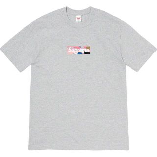 シュプリーム(Supreme)の【断捨離／格安】Emilio Pucci® Box Logo Tee【Mサイズ】(Tシャツ/カットソー(半袖/袖なし))