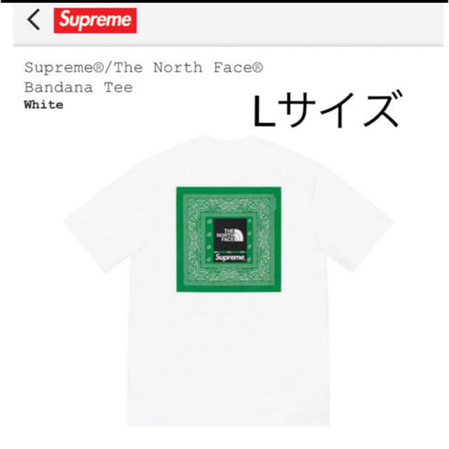 Supreme The North Face Bandana Tee