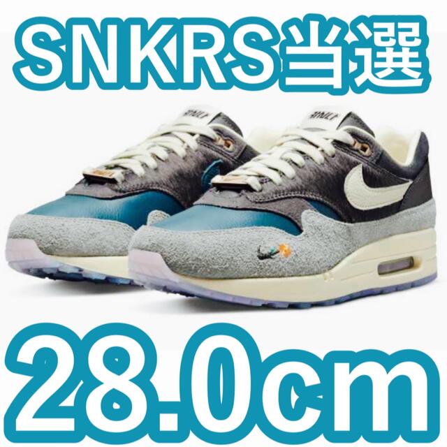 NIKE(ナイキ)のKasina × Nike Air Max 1 Won-Ang/Grey 28 メンズの靴/シューズ(スニーカー)の商品写真