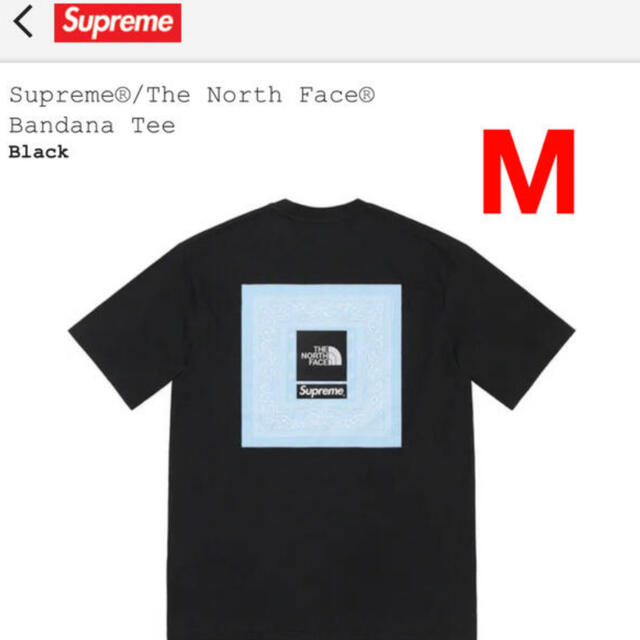 Supreme(シュプリーム)のSupreme® The North Face®  Bandana Tee メンズのトップス(Tシャツ/カットソー(半袖/袖なし))の商品写真