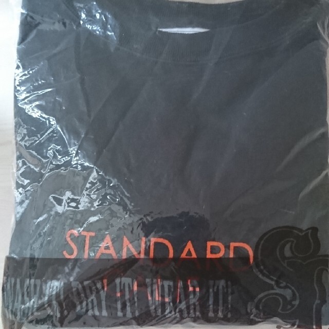 STANDARD CALIFORNIA(スタンダードカリフォルニア)のSTANDARD CALIFORNIA LOGO LONG TEE 2枚セット メンズのトップス(Tシャツ/カットソー(七分/長袖))の商品写真