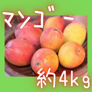 コストコ(コストコ)のコストコ　マンゴー　約4kg(フルーツ)