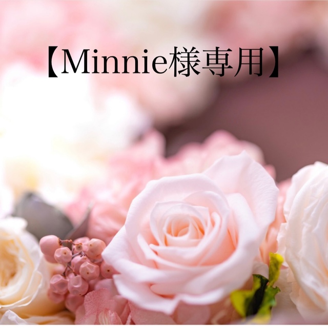 最高級 2ct モアサナイトネックレス　＋　Vラインモアサナイトリング　11号