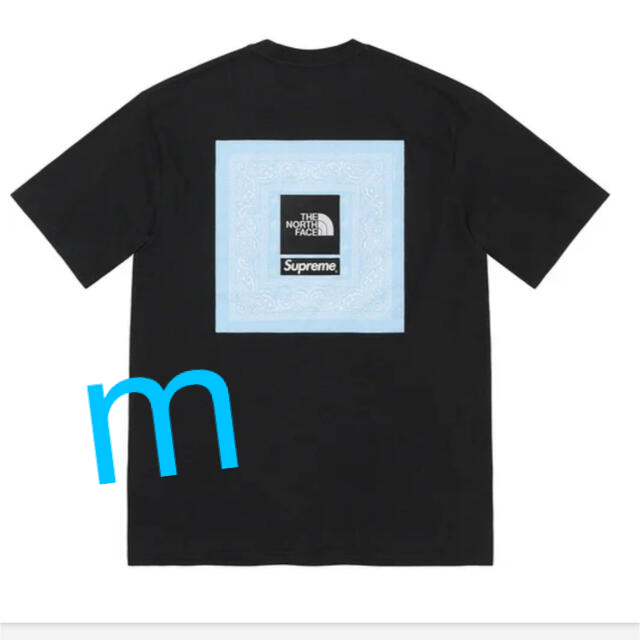 Supreme The North Face Bandana Tee m