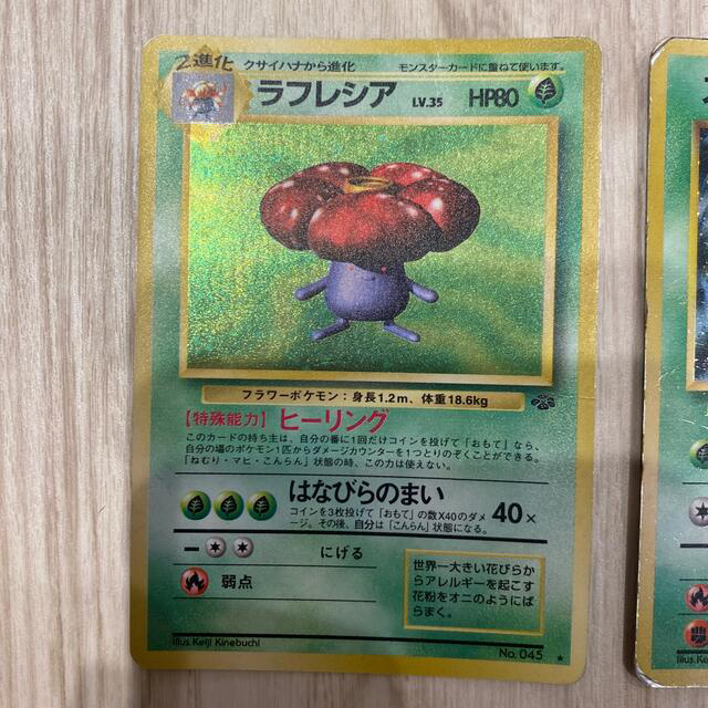 ポケモンカード くさタイプ 40枚セット