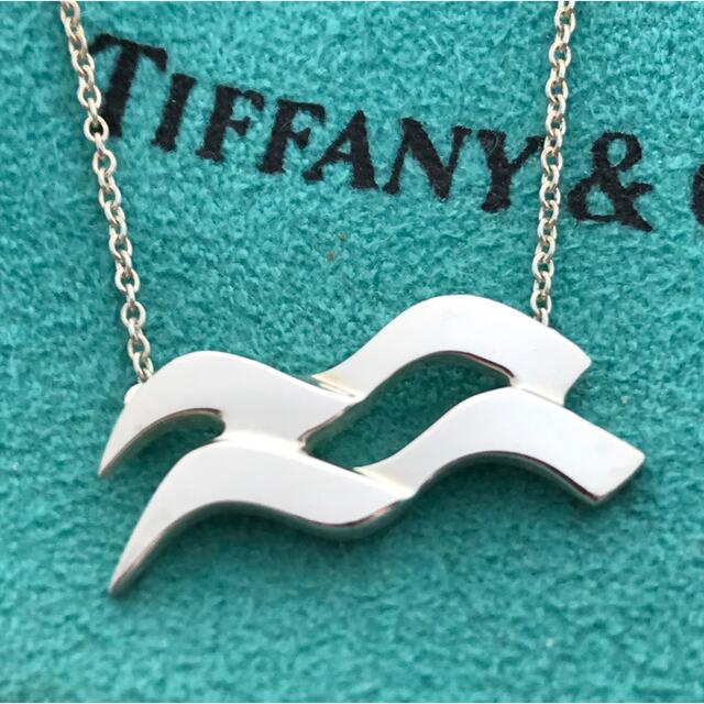 Tiffany 水瓶座ネックレス 希少 - ネックレス