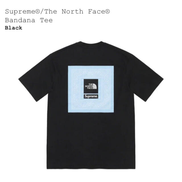 Supreme - 黒Mサイズ The North Face® Bandana Teeの通販 by キキ's ...
