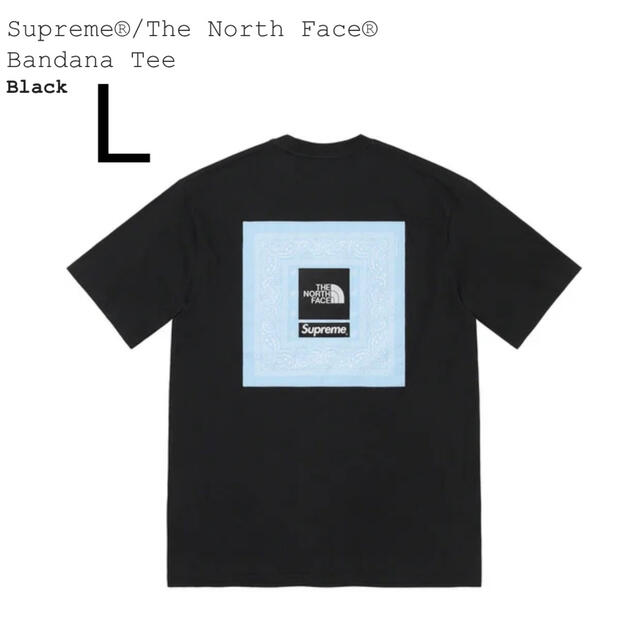 Supreme(シュプリーム)のL Supreme / The North Face Bandana Tee 黒 メンズのトップス(Tシャツ/カットソー(半袖/袖なし))の商品写真