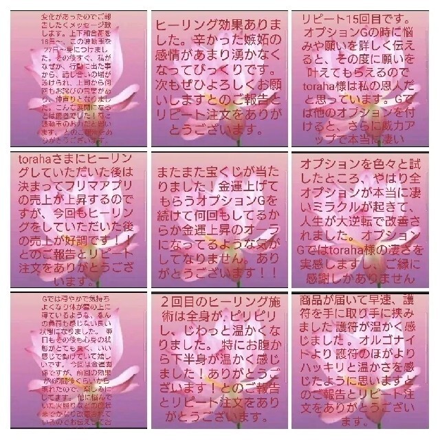 超激安通販】 のほのほとらとら様専用ページの通販 by たま's shop