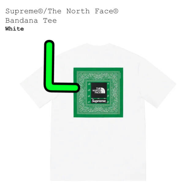 Tシャツ/カットソー(半袖/袖なし)Supreme®/The North Face® Bandana Tee  L