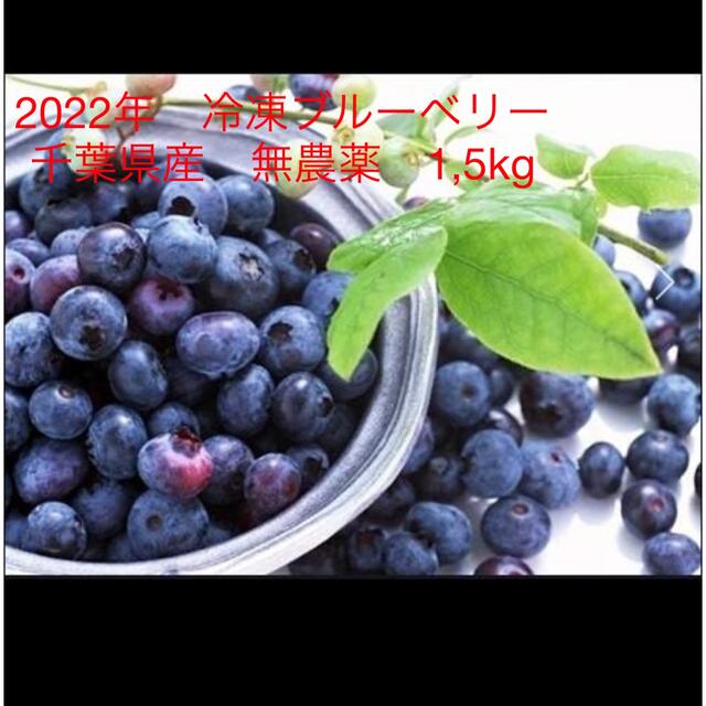 2022年　冷凍ブルーベリー　千葉県産　無農薬　1,5kg 食品/飲料/酒の食品(フルーツ)の商品写真