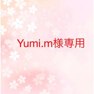 Yumi.m様専用(その他)