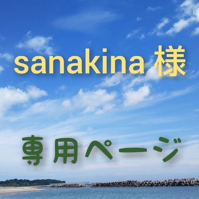 不定期様専用ページ 中色紙