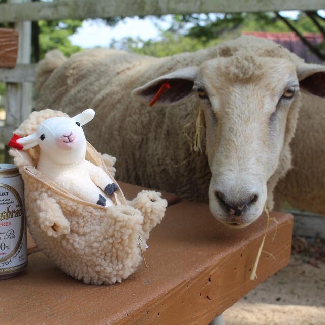 六甲山牧場限定 フェリシモ 羊の毛刈りぬいぐるみ 6