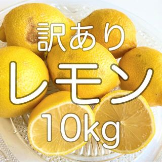 レモン　10kg(フルーツ)