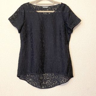 エムアンドエス(M＆S)のM&Sの半袖トップス(Tシャツ(半袖/袖なし))