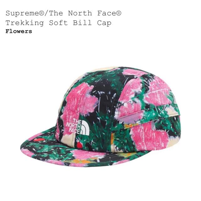 Supreme The North Face Trekking Cap