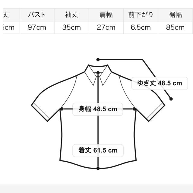 SNIDEL(スナイデル)のSustainableオーガンシースルーブラウス　FLOWER レディースのトップス(シャツ/ブラウス(半袖/袖なし))の商品写真