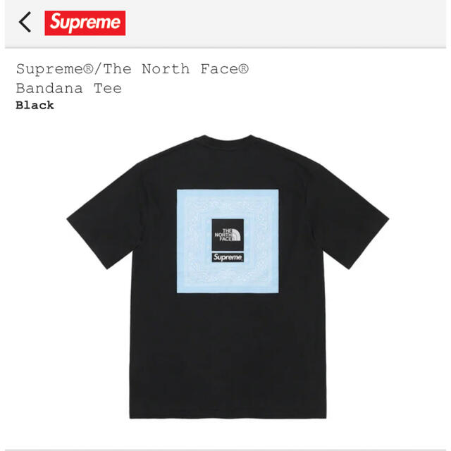 Supreme The North Face bandana black L