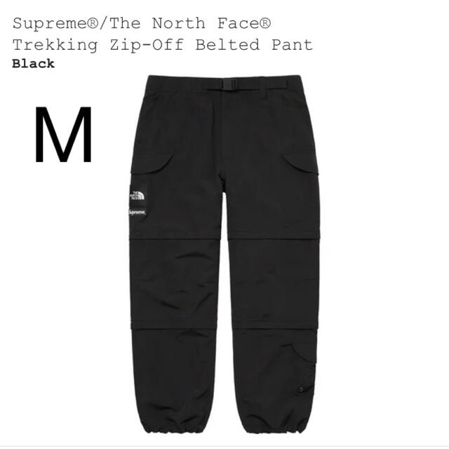 Supreme The North Face Trekking Pant M