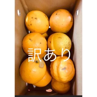 訳あり　送料無料 お試し小箱 バレンシアオレンジ L2kg 有田みかん(フルーツ)