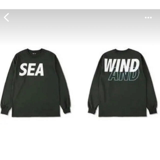 Wind and sea ロンT グリーン Mサイズ | www.fondazioneportapalazzo.org