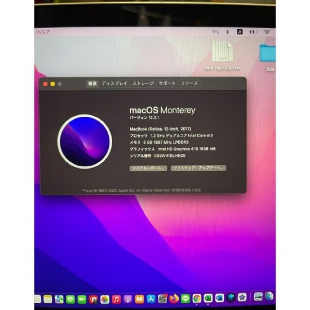 Macbook 12インチ 2017 ゴールド 美品 Macbook 12インチ 2017 ゴールド 美品