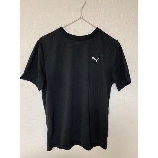 プーマ(PUMA)の【セール‼︎】PUMA Tシャツ(Tシャツ/カットソー(半袖/袖なし))