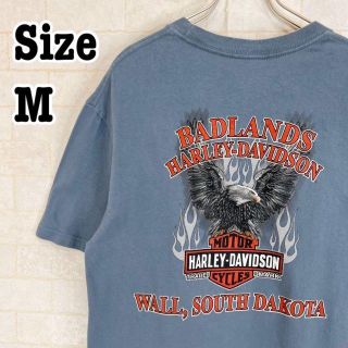 ハーレーダビッドソン(Harley Davidson)の希少デザインハーレーダビッドソン半袖プリントTシャツ鷲水色US古着バイク(Tシャツ/カットソー(半袖/袖なし))