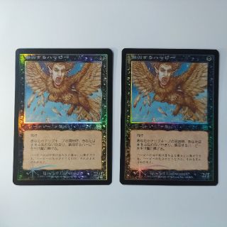 マジックザギャザリング(マジック：ザ・ギャザリング)のMTG Foil 換羽するハーピー/Molting Harpy2枚セット(その他)