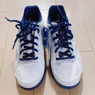 ミズノ(MIZUNO)のMIZUNO ミズノ　バトミントンシューズ(バドミントン)