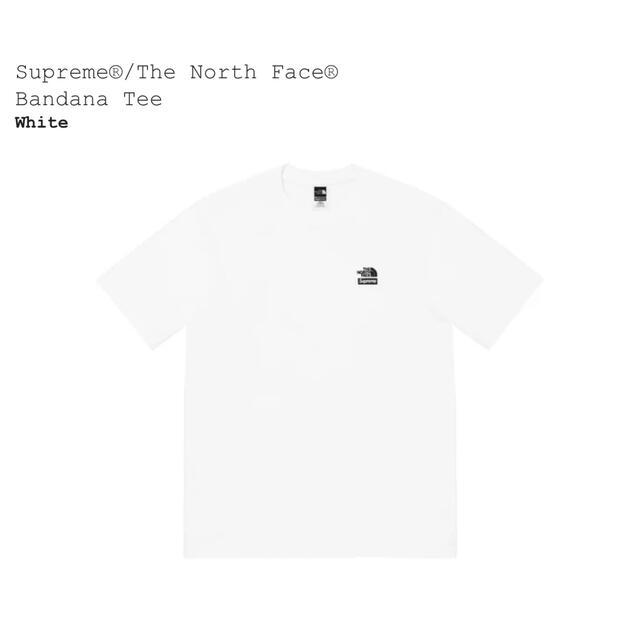 グッチ Supreme The North Face Bandana Tee White