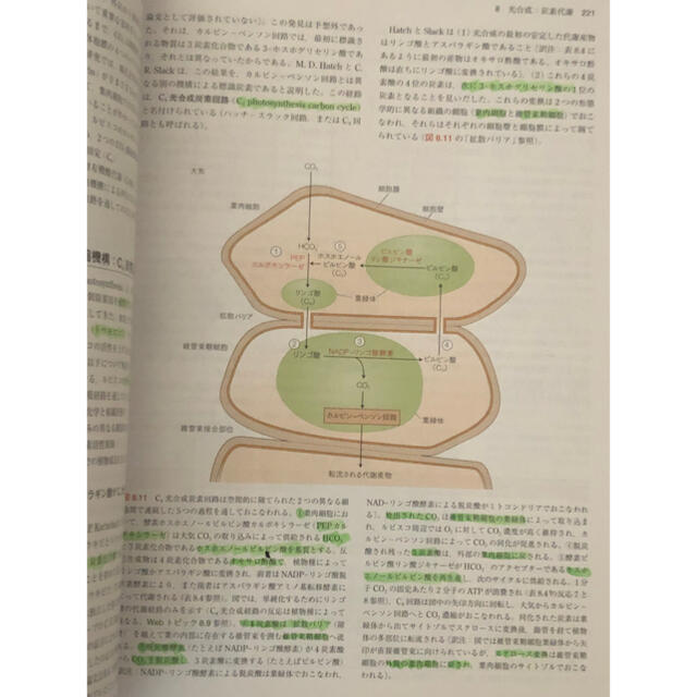 テイツ／ザイガー植物生理学・発生学 原著第６版 エンタメ/ホビーの本(健康/医学)の商品写真