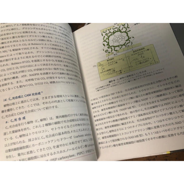 植物栄養学 第２版 エンタメ/ホビーの本(科学/技術)の商品写真