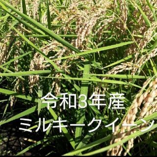 mao様専用です😊(米/穀物)