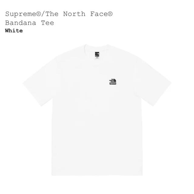 Supreme The north face Bandana tee Lサイズ