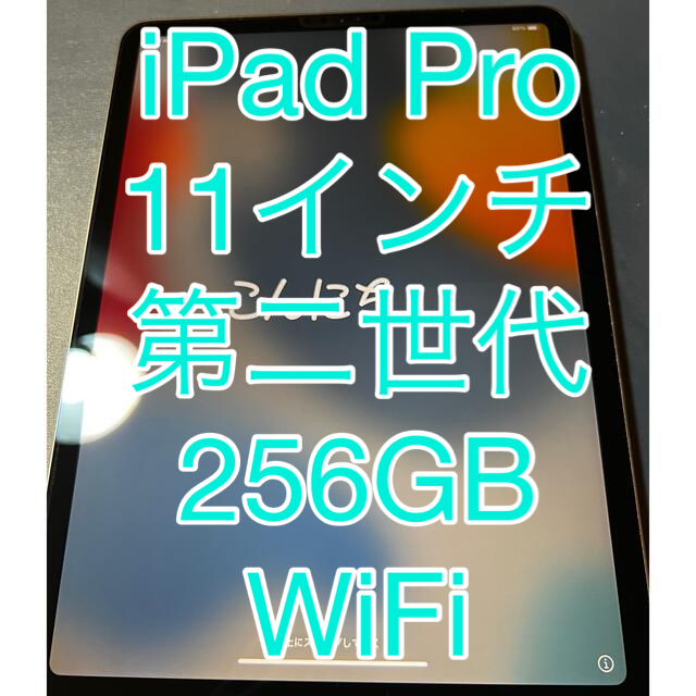 iPad Pro 11インチ 第2世代 WiFi  スペースグレー　256GB