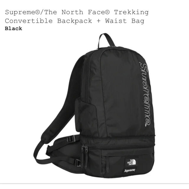 メンズSupreme The north face backpack waistbag