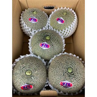 幻のメロン入荷しました！送料込み！千葉県産　ナイルメロン　5玉(フルーツ)