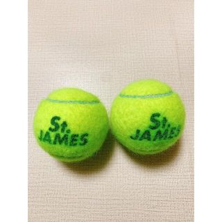 セントジェームス(SAINT JAMES)のセントジェームス　テニスボール2個(ボール)