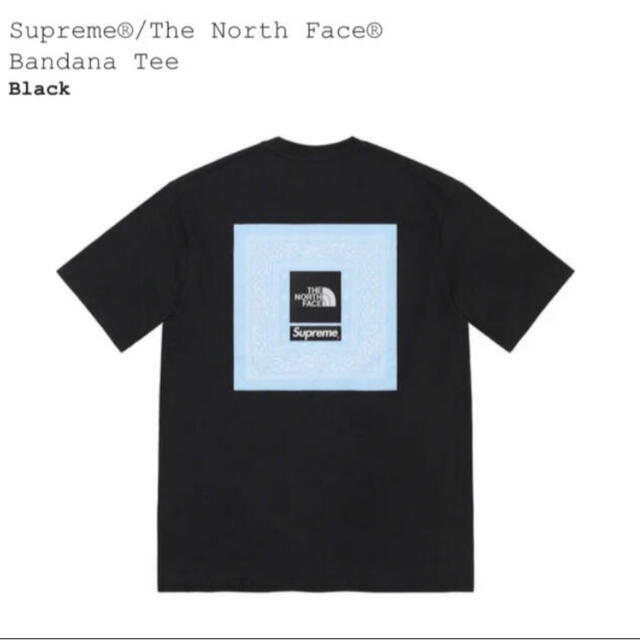 黒Lサイズ The North Face®  Bandana Tee