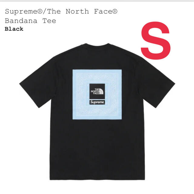 Supreme(シュプリーム)のSupreme® The North Face®  Bandana Tee メンズのトップス(Tシャツ/カットソー(半袖/袖なし))の商品写真