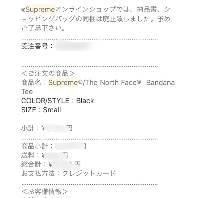 Supreme(シュプリーム)のSupreme® The North Face®  Bandana Tee メンズのトップス(Tシャツ/カットソー(半袖/袖なし))の商品写真