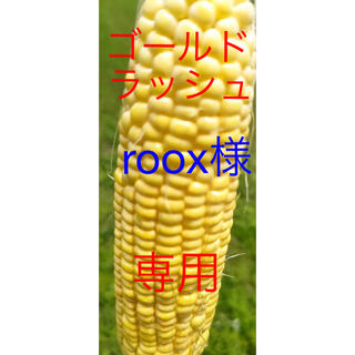 ゴールドラッシュ　roox様専用(野菜)